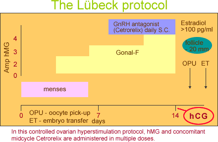 The Lübeck protocol